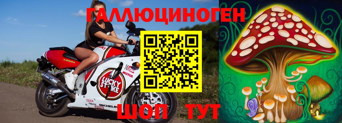 Псилоцибиновые грибы мицелий Трёхгорный