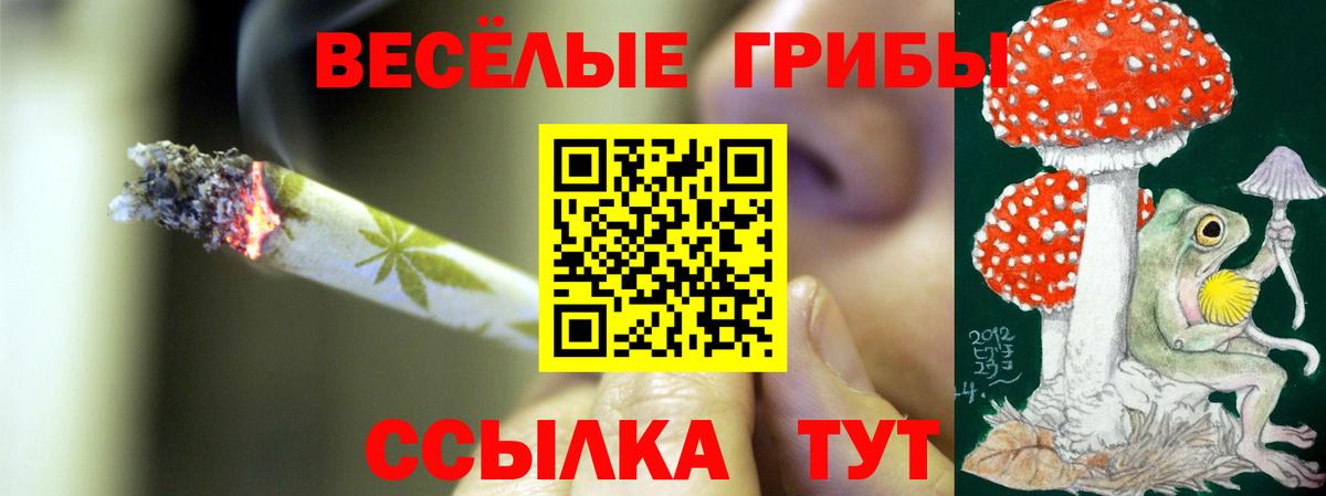 Трёхгорный  Псилоцибиновые грибы Cubensis  Вход с VPN  Псилоцибиновые грибы Cubensis 